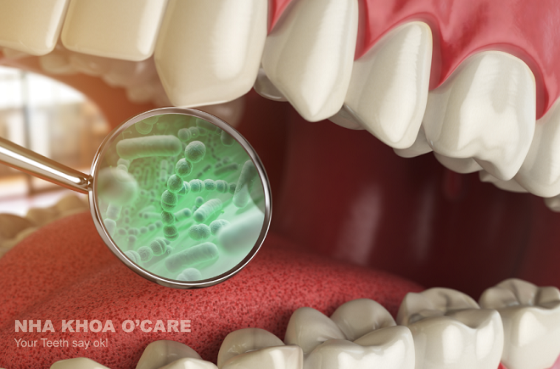 vi khuẩn trong miệng